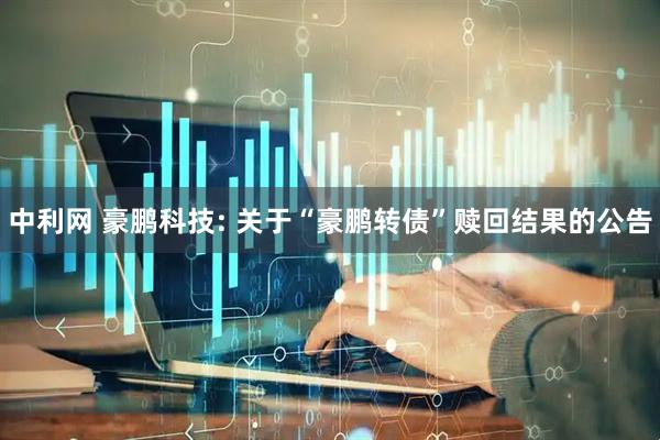 中利网 豪鹏科技: 关于“豪鹏转债”赎回结果的公告