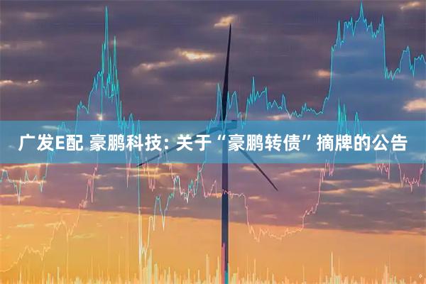 广发E配 豪鹏科技: 关于“豪鹏转债”摘牌的公告
