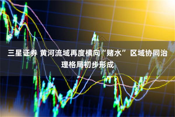 三星证券 黄河流域再度横向“赌水” 区域协同治理格局初步形成