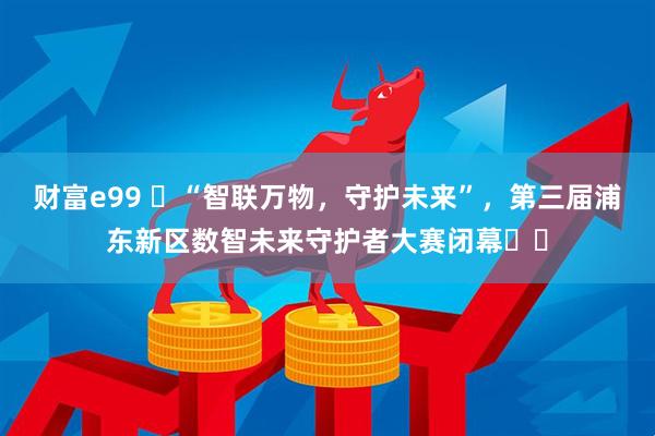 财富e99 ​“智联万物，守护未来”，第三届浦东新区数智未来守护者大赛闭幕​​