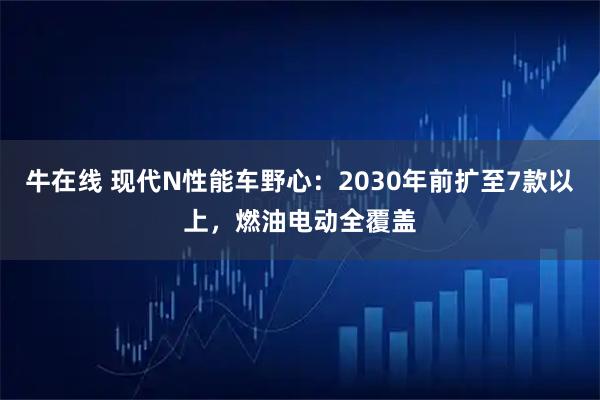 牛在线 现代N性能车野心：2030年前扩至7款以上，燃油电动全覆盖