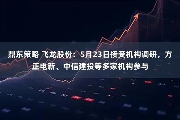 鼎东策略 飞龙股份：5月23日接受机构调研，方正电新、中信建投等多家机构参与