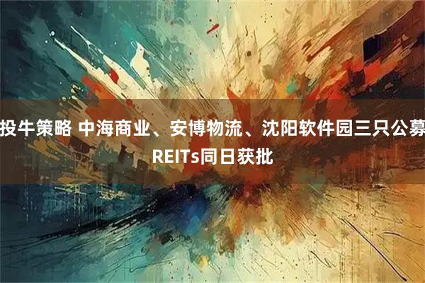 投牛策略 中海商业、安博物流、沈阳软件园三只公募REITs同日获批