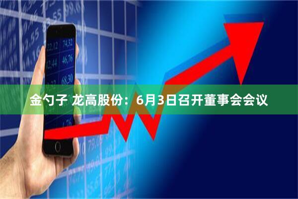 金勺子 龙高股份：6月3日召开董事会会议