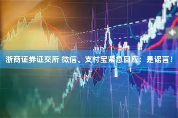 浙商证券证交所 微信、支付宝紧急回应：是谣言！