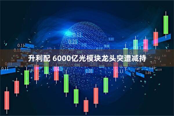 升利配 6000亿光模块龙头突遭减持