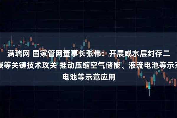 满瑞网 国家管网董事长张伟：开展咸水层封存二氧化碳等关键技术攻关 推动压缩空气储能、液流电池等示范应用