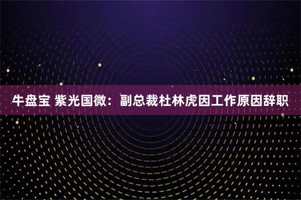 牛盘宝 紫光国微：副总裁杜林虎因工作原因辞职